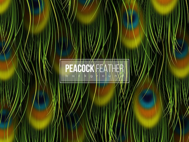 Peacock green feathers background Abstract composition Vector illustration