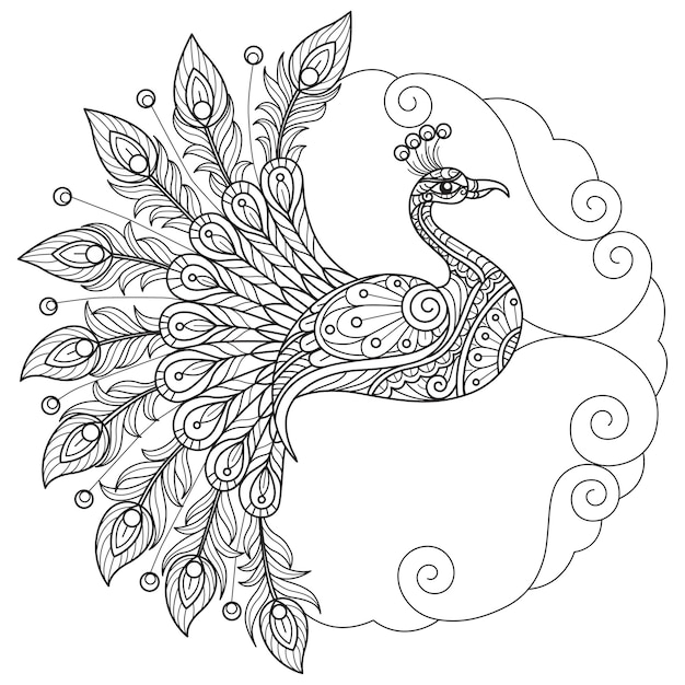 Peacock hand drawn for adult coloring book