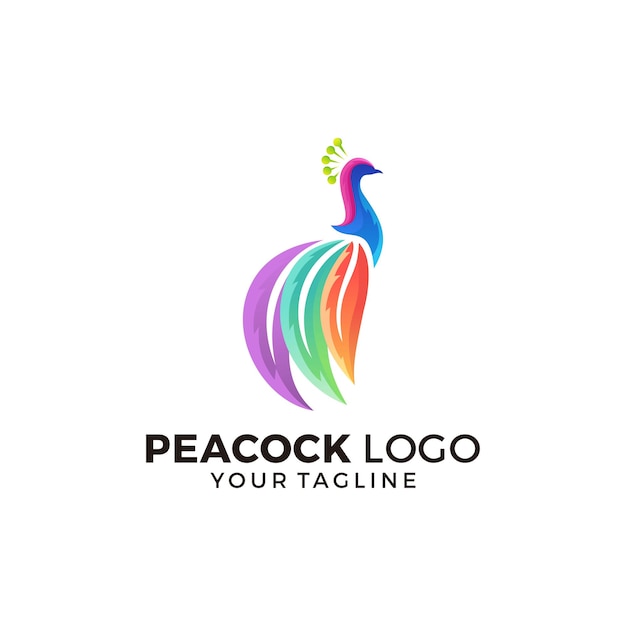 Peacock logo design vector illustration