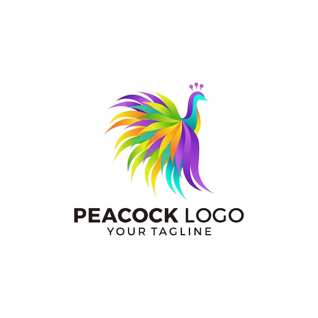 Peacock logo design vector illustration