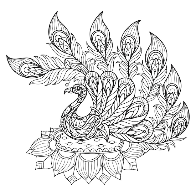 Peacock and lotus hand drawn for adult coloring book