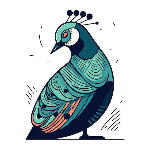 Vector peacock vector illustratie geïsoleerd op witte achtergrond