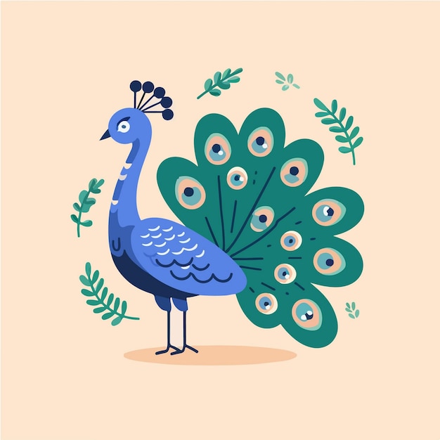 Vector peacock vector