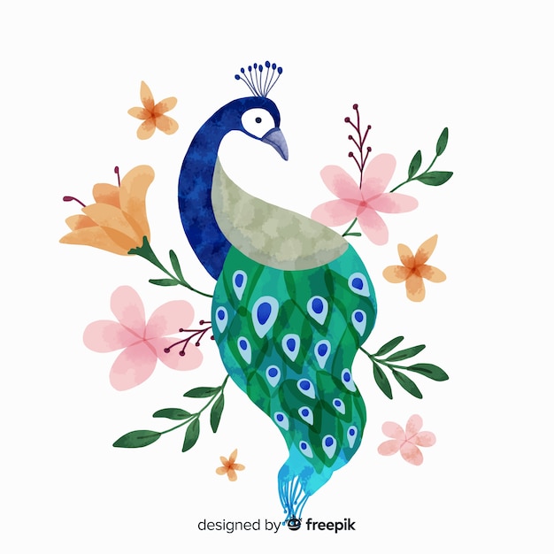 Vector peacock in watercolor style