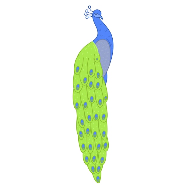 Vector peacock with green and blue feathers, vector illustration cartoon.