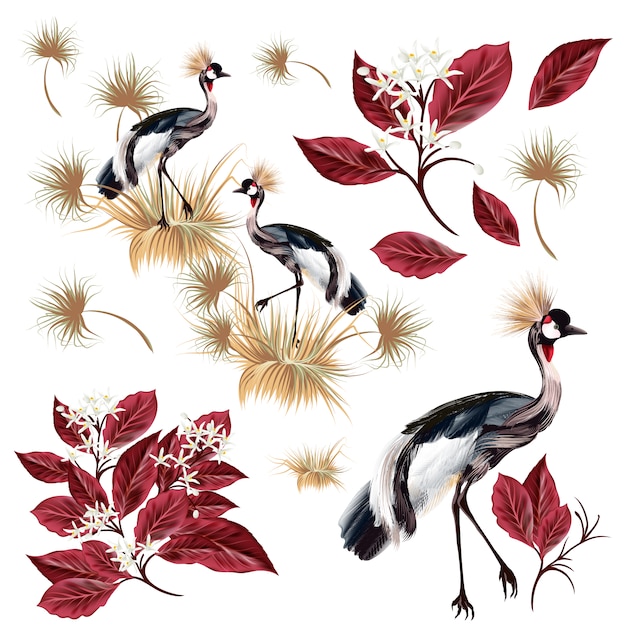 Vector peacocks and leaves collection