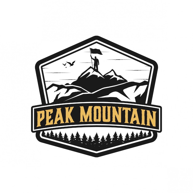 Peakmountain logo ontwerp