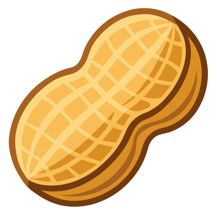 Vector peanut clipart vector art and illustration
