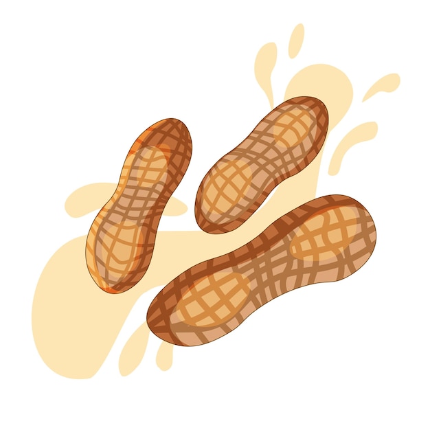 Вектор Арахисовые орехи в скорлупе логотип арахисового масла