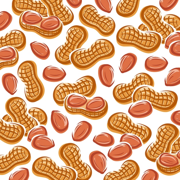 Vector peanuts background set. collection icon peanuts. vector