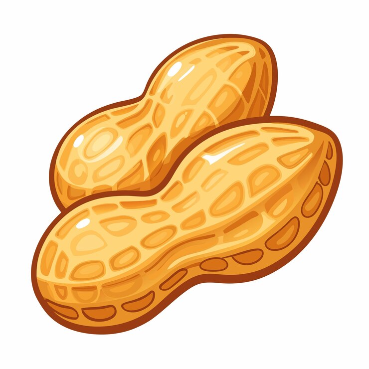 Vector peanuts food vector artwork design
