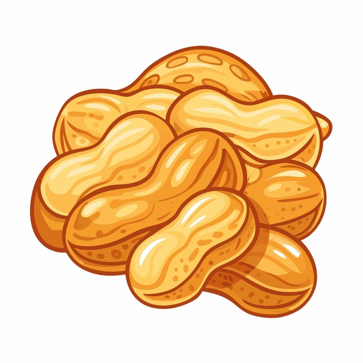 Vector peanuts food vector design image