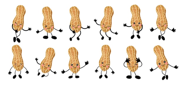 땅콩. 손과 눈을 가진 귀여운 너트 캐릭터의 큰 세트. 만화 과일 또는 야채. 유용한