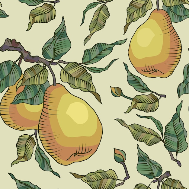 Vector pear background design