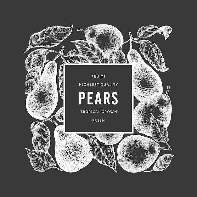 Pear design template. hand drawn vector garden fruit illustration on chalk board.