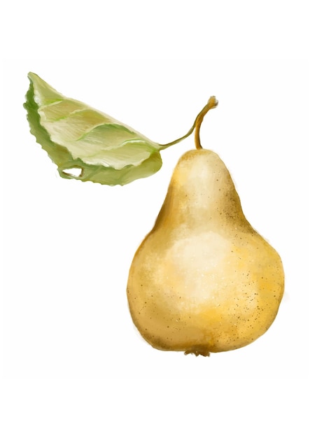 Vector pear. digital illustration.