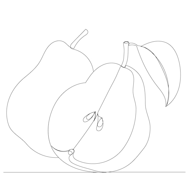 Pear drawing by one continuous line, sketch