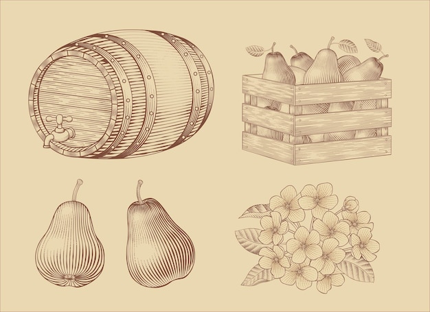 Vector pear fruit related elements