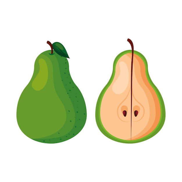 Pear fruit vector