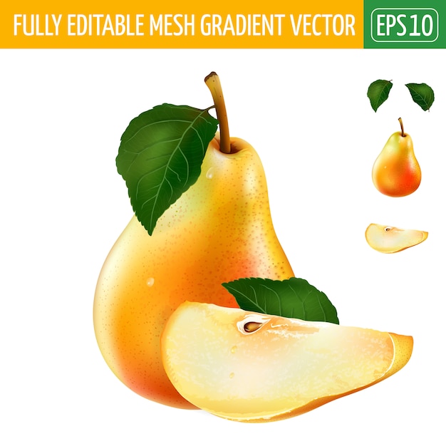 Pear illustration on white