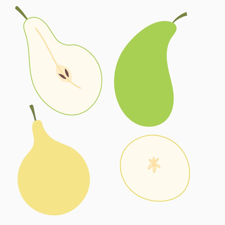 Vector 梨とその切断ベクトルイラストのバリエーション