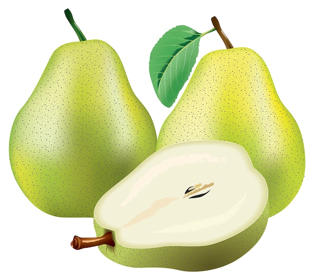 Pear Realistic