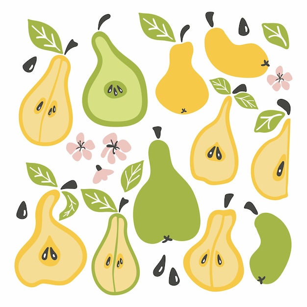 Vector pear set fruit whole chopped half quarter cut slices pear leaves cartoon doodle bright collection hand drawn vector illustration