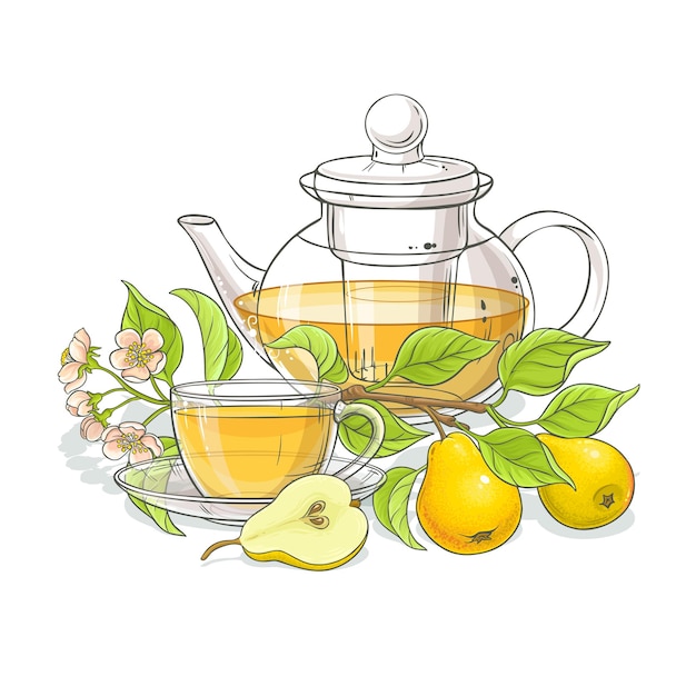 Vector pear tea illustration