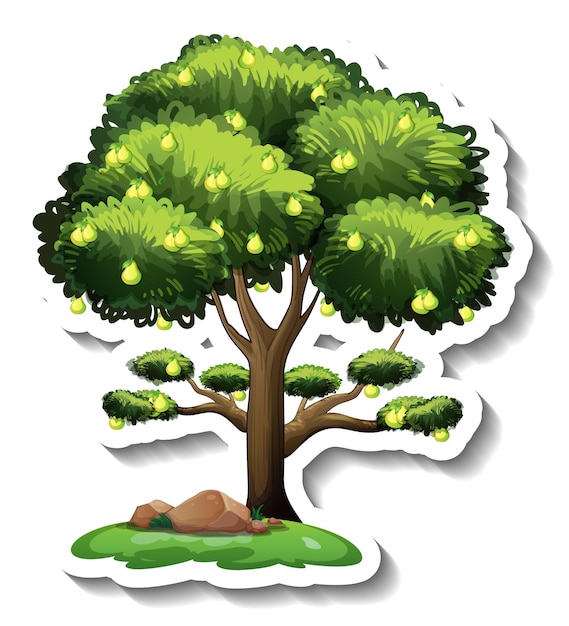 Pear tree sticker on white background