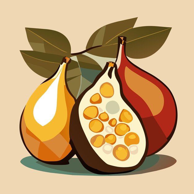 Pear Vector Illustration