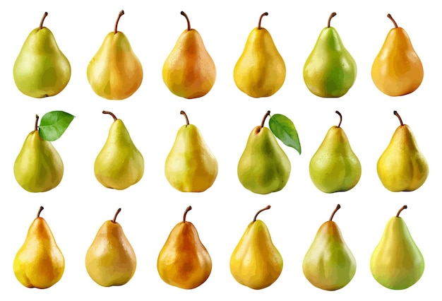 Pear vector set geïsoleerd op witte achtergrond