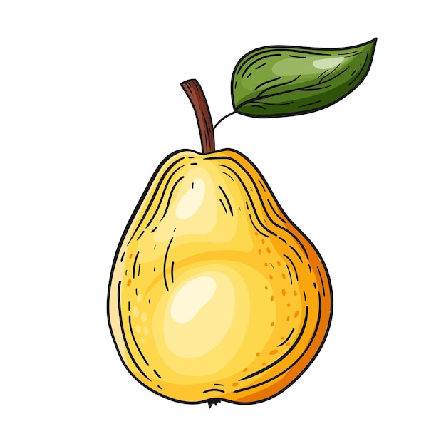 Pear yellow hand drawn vector