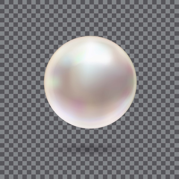 Vettore perla 3d splendente realistico isolato su sfondo trasparente.
