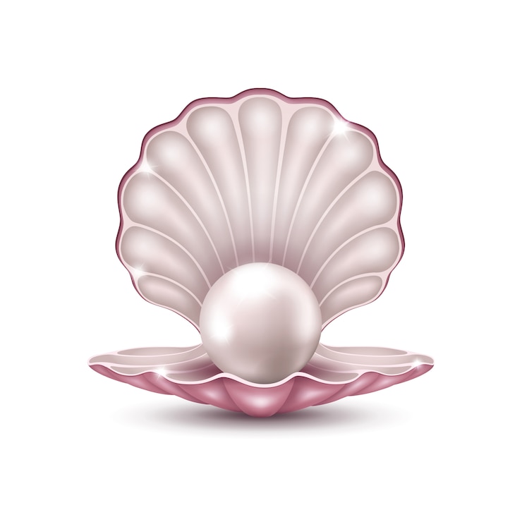 Vector pearl in the shell