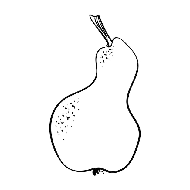 Vector pears hand drawn outline the black line art on a white background vector element isolated