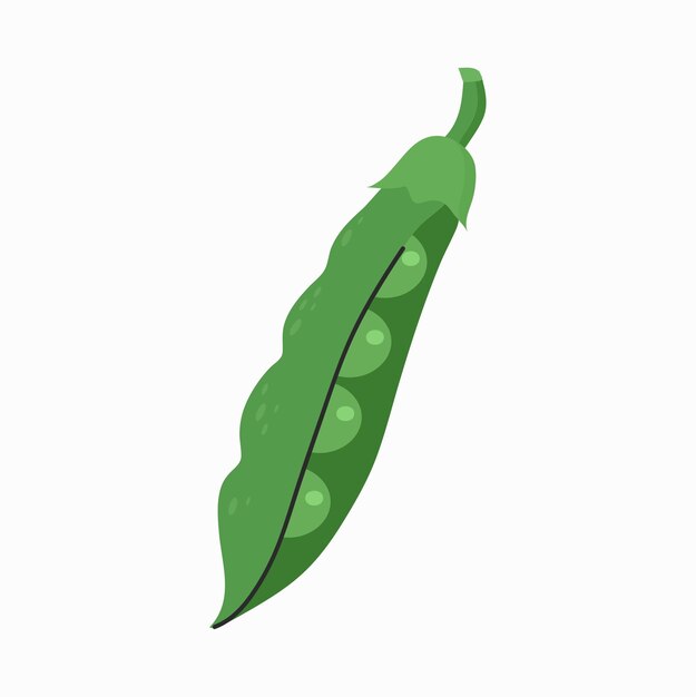 peas icon clipart avatar ljgotype isolated vector illustration