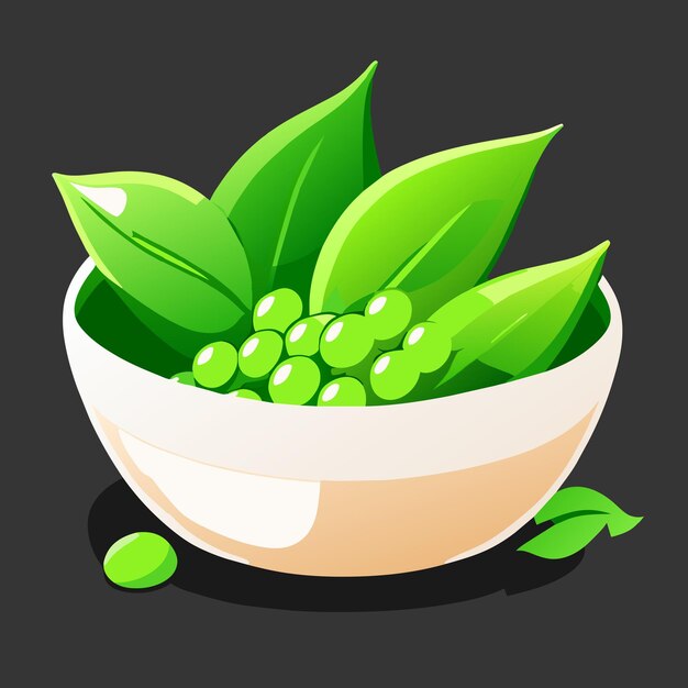 Vector peas vector illustration