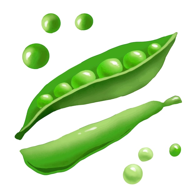 Vector peas