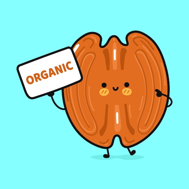 Vector pecan poster organic character