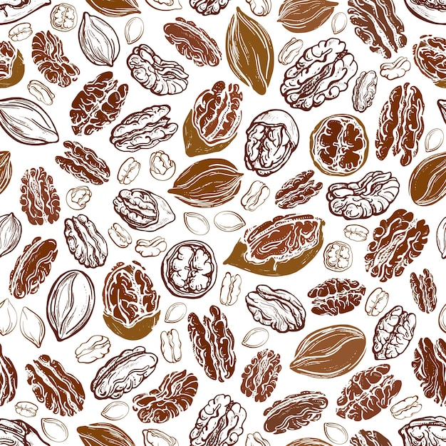 Pecannoot naadloos patroon textuur mix korrels schets handgetekende print natuurlijke voeding gezonde snack
