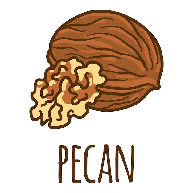 Pecannoot pictogram Hand getekende illustratie van pecannoot vector pictogram voor webdesign