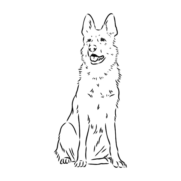 Vector pedigree dog drawn in ink by hand without a background