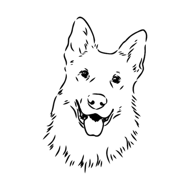 Vector pedigree dog drawn in ink by hand without a background