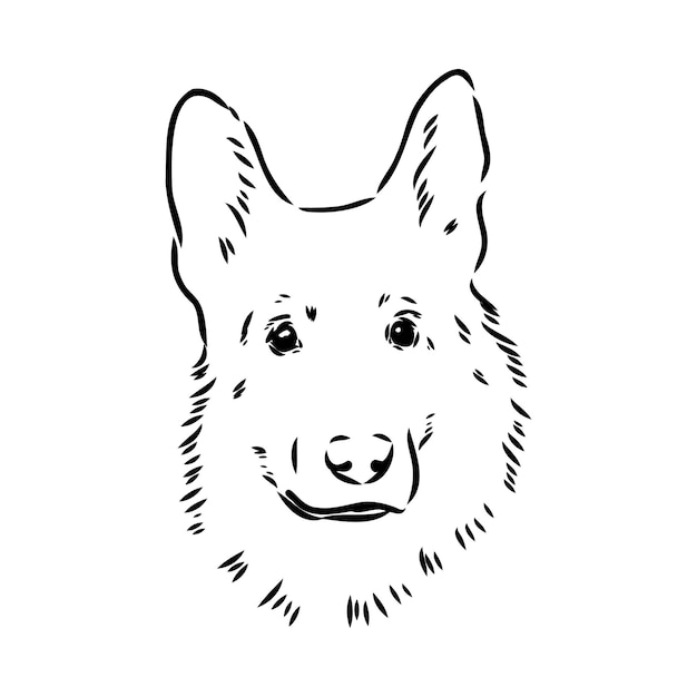 Vector pedigree dog drawn in ink by hand without a background