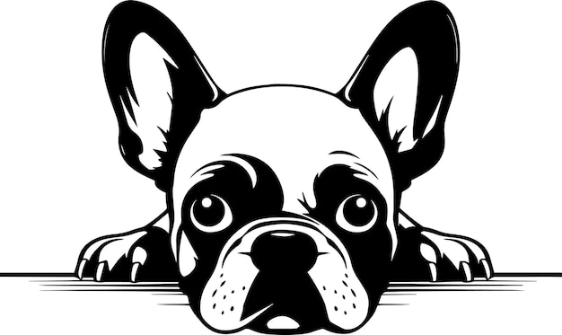 Vector peeking french bulldog face dog head isolated on a white background vector illustration