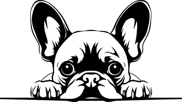 Peeking French bulldog face Dog head isolated on a white background Vector Illustration