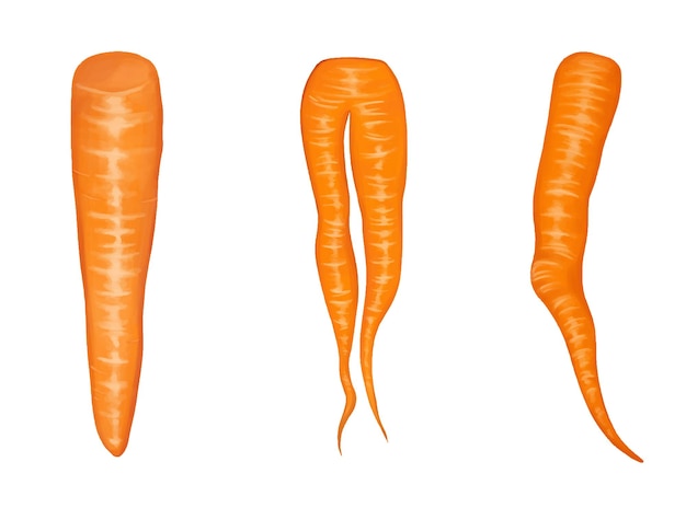 Set di carote sbucciate isolato su bianco