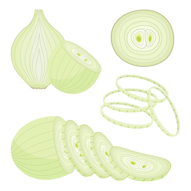 Peeled onion isolated on white. half, slice and onion rings. vector icon. cartoon brown or yellow onions set, fresh farm market vegetables.