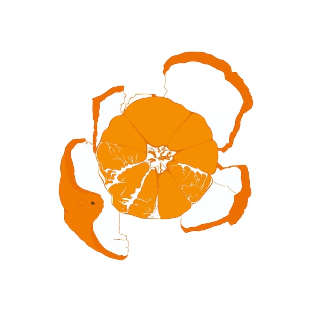 peeled tangerine