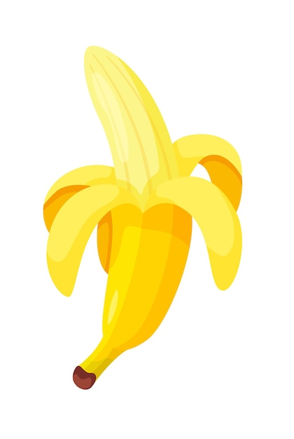 Frutta sbucciata della banana tropicale isolata su fondo bianco